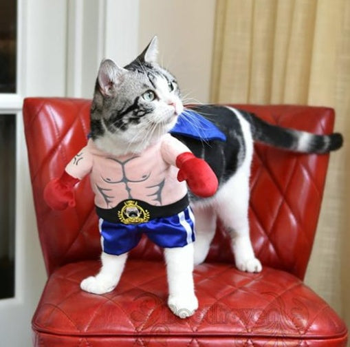 Witziges Boxer-Kostüm für Hunde und Katzen. Von FurLaati
