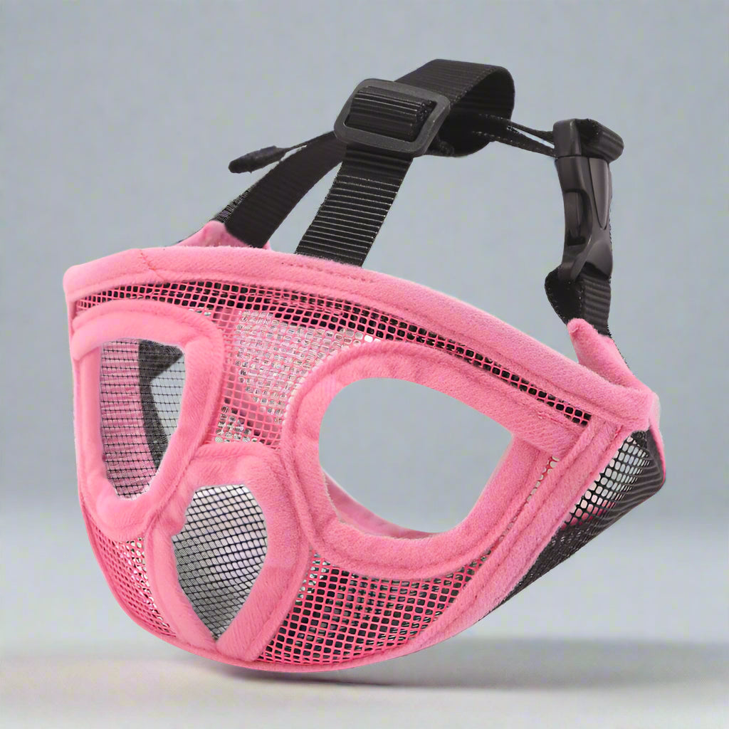 Detailansicht: C / L des Produkts Atmungsaktiver Maulkorb für Französische Bulldoggen