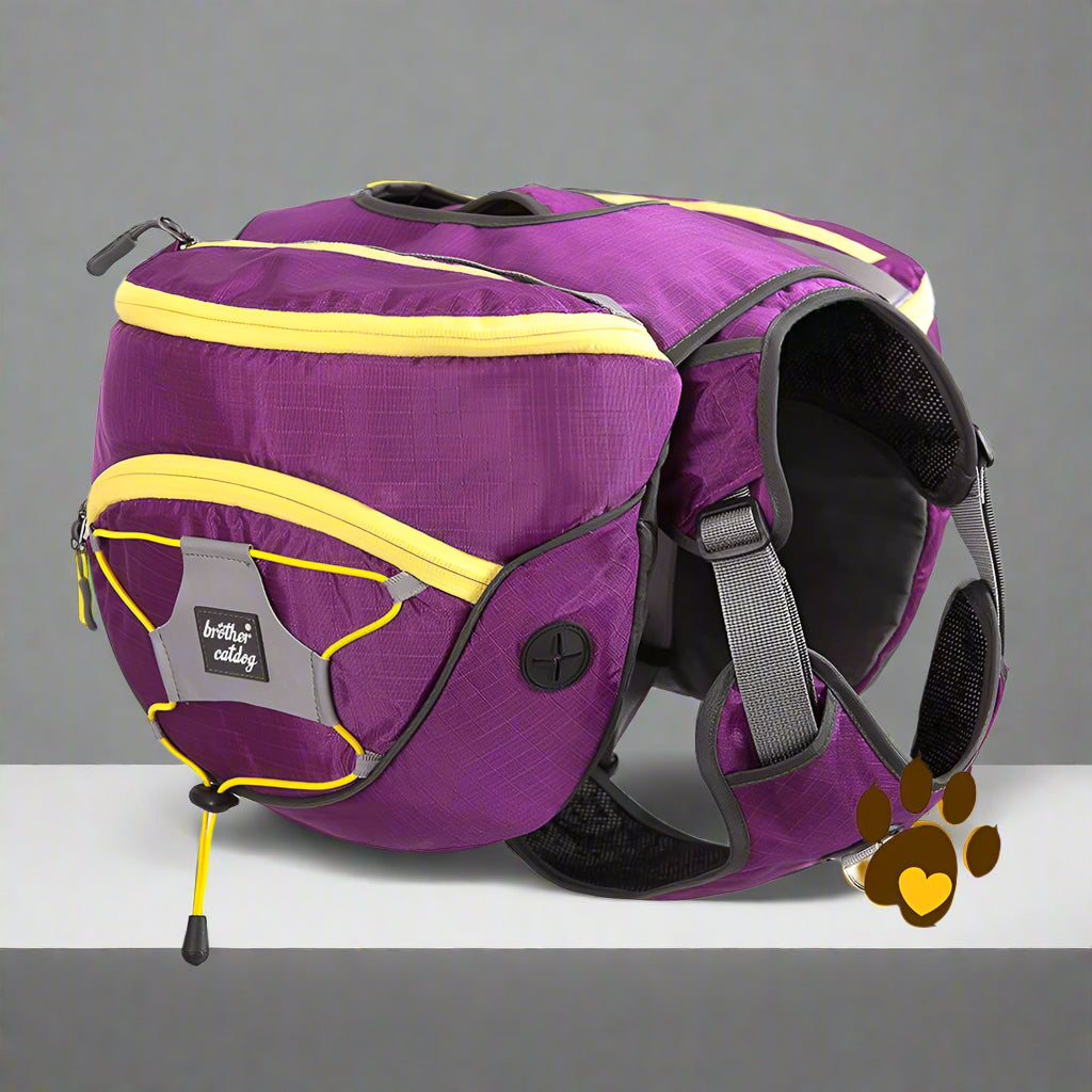 Abnehmbarer Hunde-Trekkingrucksack