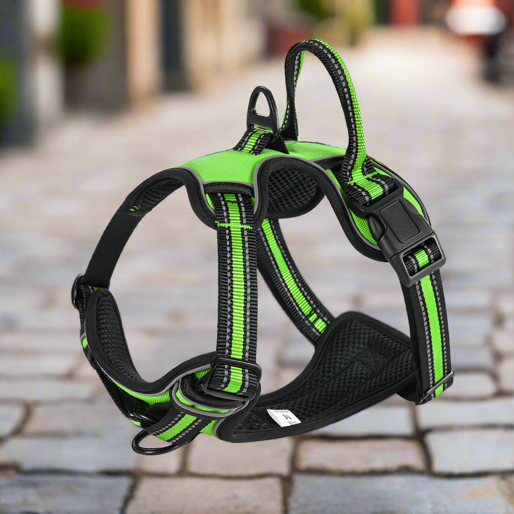 Verstellbares No-Pull Hundegeschirr mit Polsterung und Reflektoren Von FurLaati