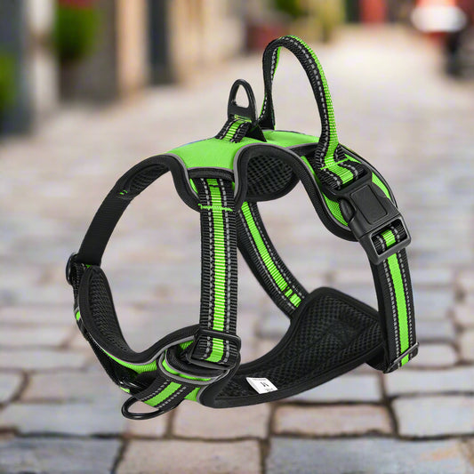 Detailansicht: PURPLE / L des Produkts Verstellbares No-Pull Hundegeschirr mit Polsterung und Reflektoren Von FurLaati