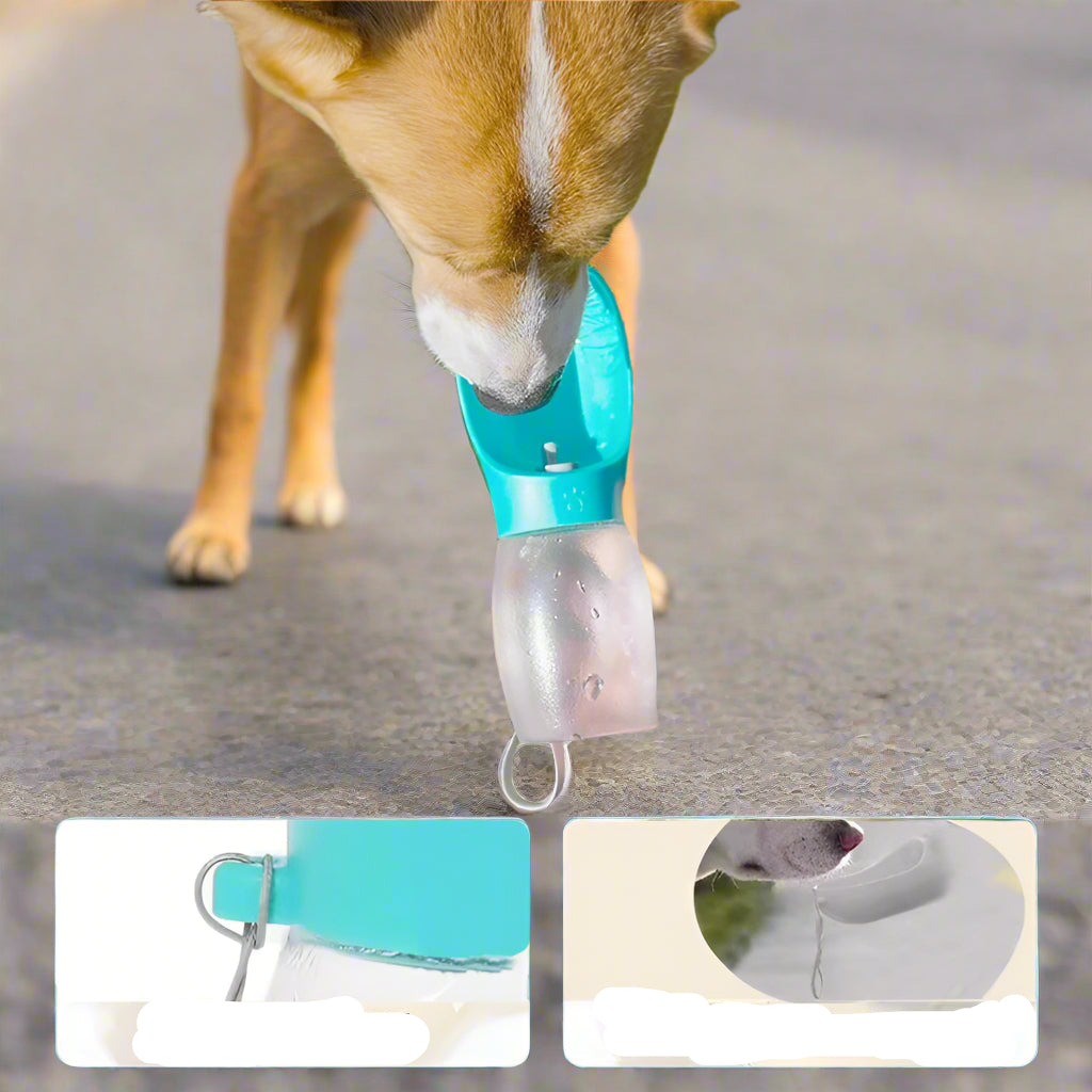 Tragbare Haustier-Wasserflasche für Hunde & Katzen