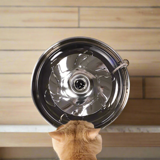 48% Rabatt: 360° Zirkulierender Tierbrunnen für Katzen und Hunde