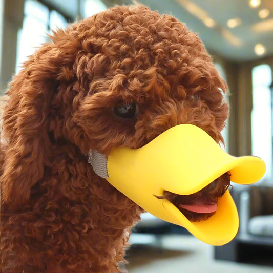 Lustiger Enten-Maulkorb aus Silikon