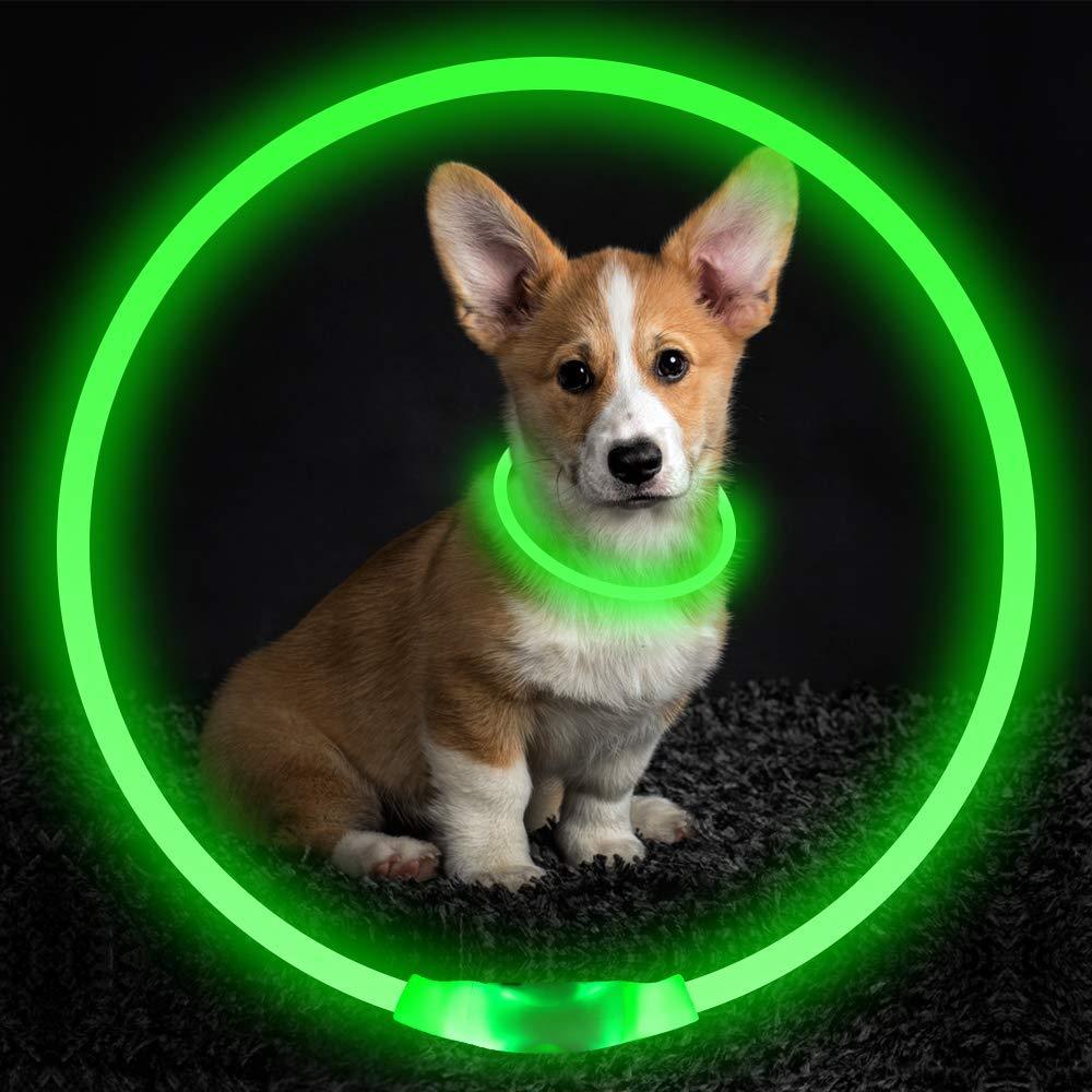 Wiederaufladbares LED-Halsband | USB-Halsband mit 3 Lichtmodi. Von FurLaati!
