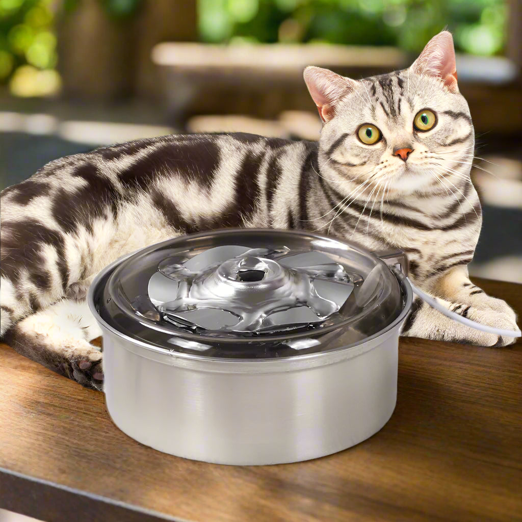 48% Rabatt: 360° Zirkulierender Tierbrunnen für Katzen und Hunde