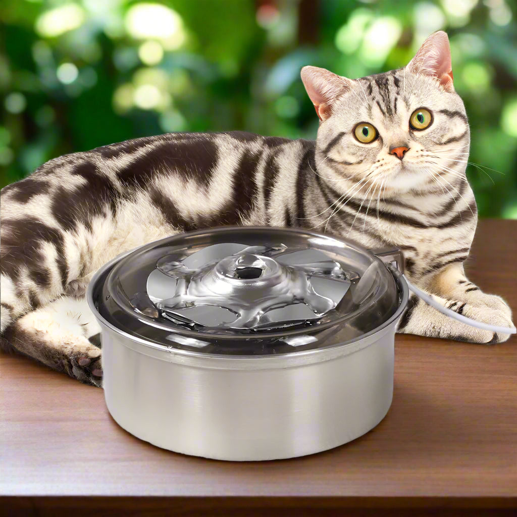 48% Rabatt: 360° Zirkulierender Tierbrunnen für Katzen und Hunde