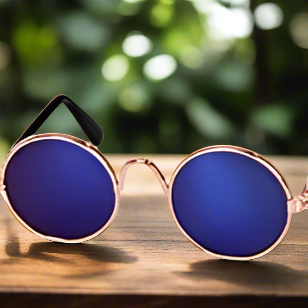 Haustier-Sonnenbrille & Strohhut Set