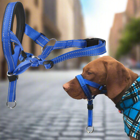 Komfortabler Nylon-Maulkorb für Hunde. von FurLaati!