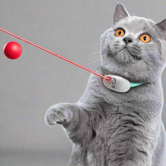 Laser-Spielhalsband für Katzen | USB-aufladbarer Spaß Von FurLaati