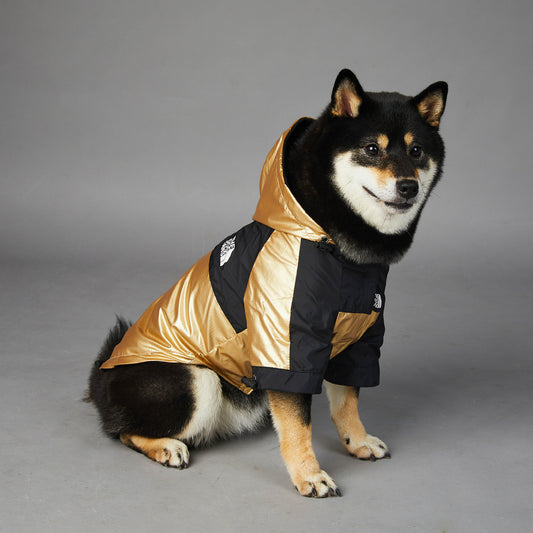 Detailansicht: Gold Shell Jacket / 3XL des Produkts Stilvoller, Wind- und Wasserdichter Hundemantel für alle Jahreszeiten.…