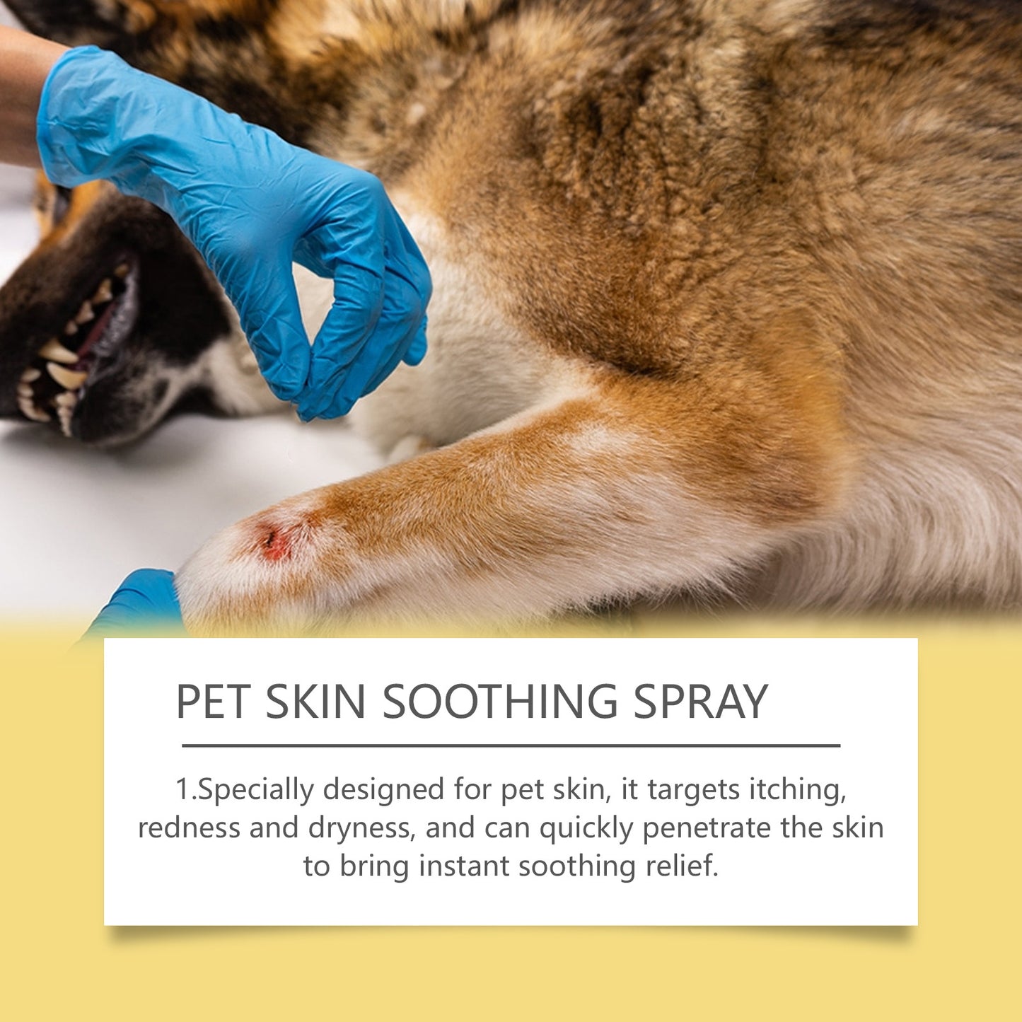 Premium Hautspray für Tiere – Soforthilfe bei Juckreiz, Pilzen & Milben