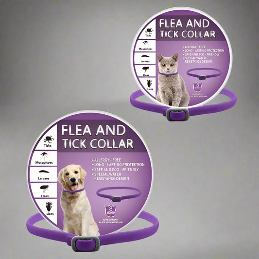 Detailansicht: Blue new composite material insect repellent collar / 65cm dog box set des Produkts Schutz-Halsband gegen…