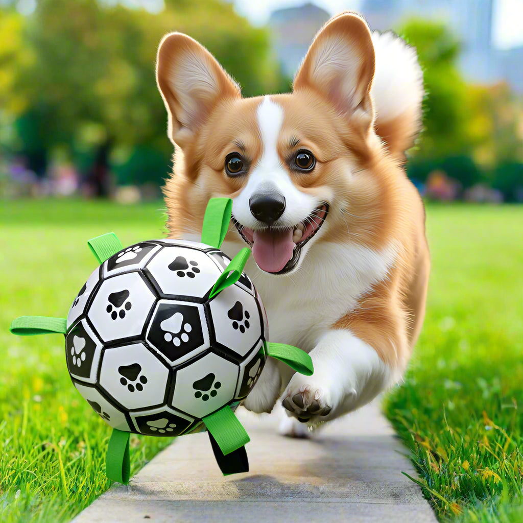 Krasses Kicker-Spielzeug für Fellnasen: Unzerstörbarer Ball с Extra-Spaß!