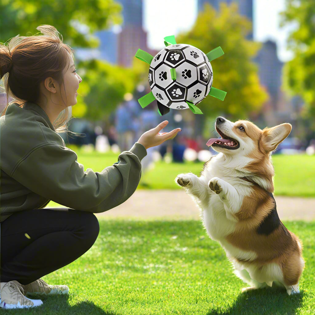 Krasses Kicker-Spielzeug für Fellnasen: Unzerstörbarer Ball с Extra-Spaß!