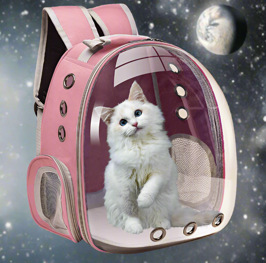 Detailansicht: green des Produkts Transparenter Rucksack-Tragetasche für Tiere von FurLaati