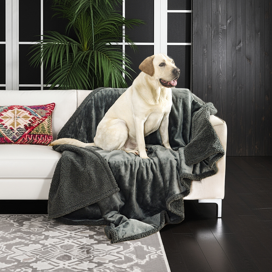 Flauschige & Wasserdichte Haustierdecke in 5 Größen und 5 Farben