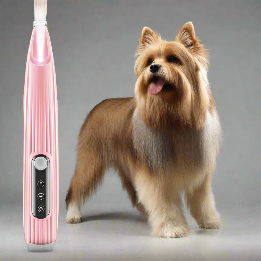 LED-Präzisions-Tierhaartrimmer für Hunde & Katzen – Für eine exakte Haarschur an Pfoten, Gesicht und schwer zugänglichen Bereiche