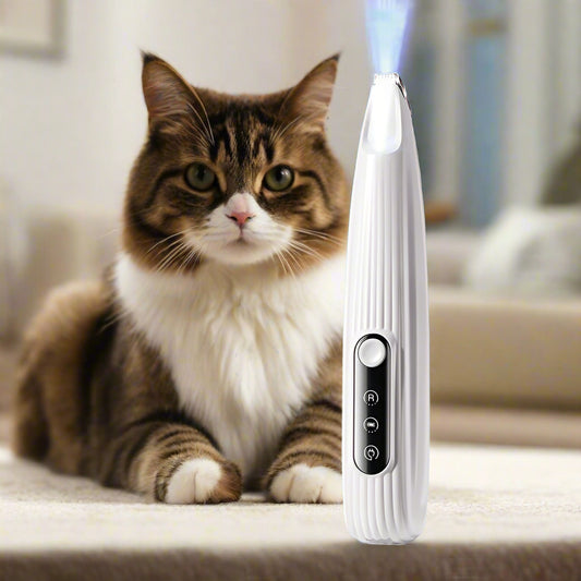 LED-Präzisions-Tierhaartrimmer für Hunde & Katzen – Für eine exakte Haarschur an Pfoten, Gesicht und schwer zugänglichen Bereiche