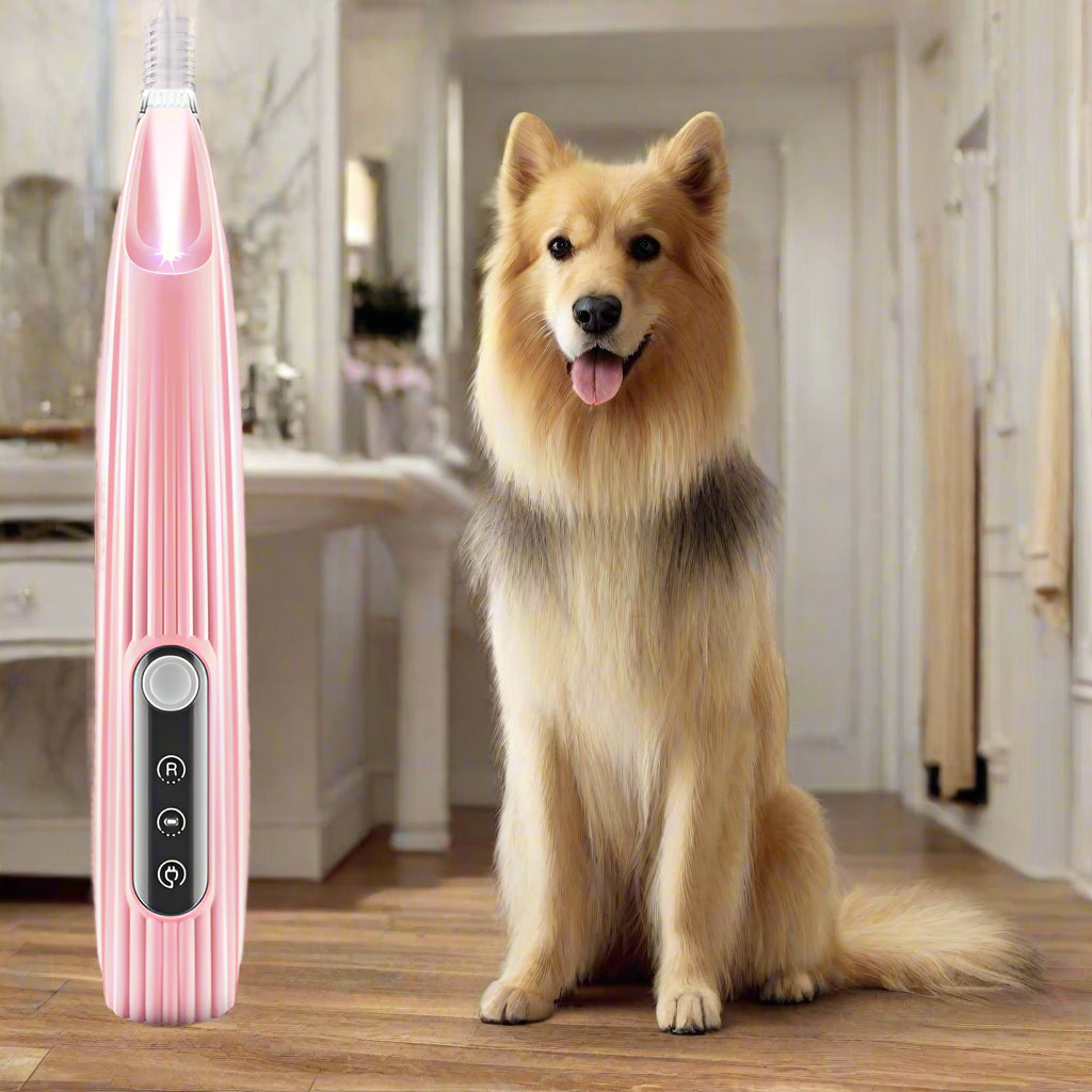 LED-Präzisions-Tierhaartrimmer für Hunde & Katzen – Für eine exakte Haarschur an Pfoten, Gesicht und schwer zugänglichen Bereiche