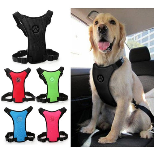 Atmungsaktives Mesh-Hundegeschirr für Sicherheit und Komfort im Auto. Von FurLaati
