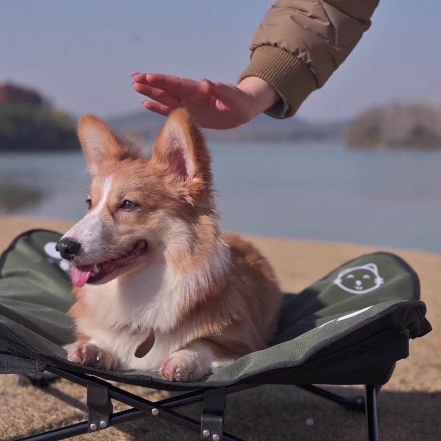 Robustes, Faltbares Hunde-Reisebett (Outdoor & Abnehmbar)