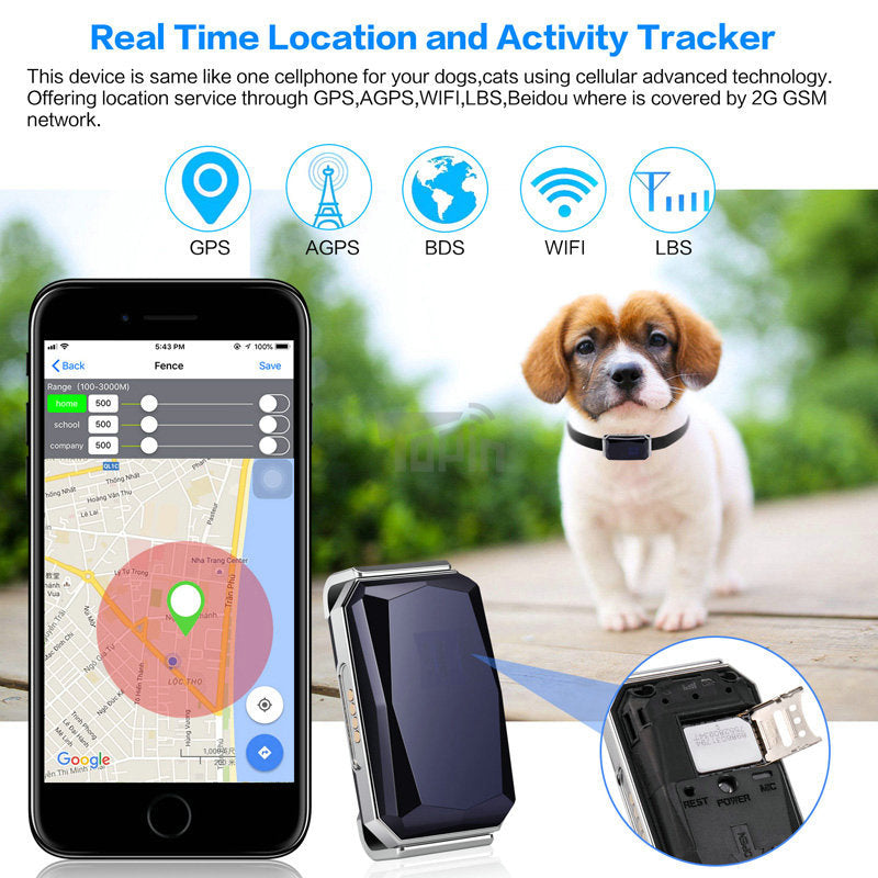 Professioneller GPS-Tracker für Haustiere | Edelstein-Design mit Echtzeitortung
