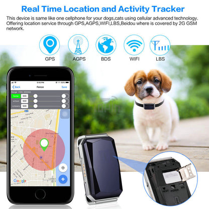 Professioneller GPS-Tracker für Haustiere | Edelstein-Design mit Echtzeitortung
