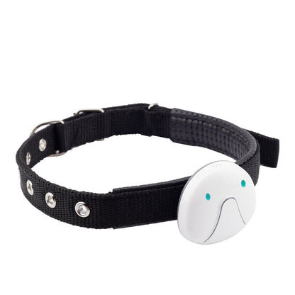 Professioneller GPS-Tracker F9 für Haustiere | Echtzeitortung mit 4-in-1-Positionierung