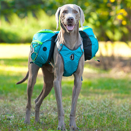 Abnehmbarer Hunde-Trekkingrucksack
