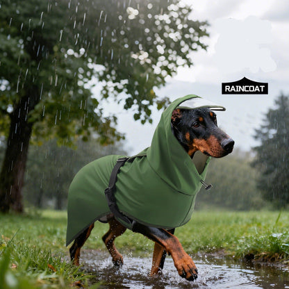 Dog wearing a green raincoat in a park during rain