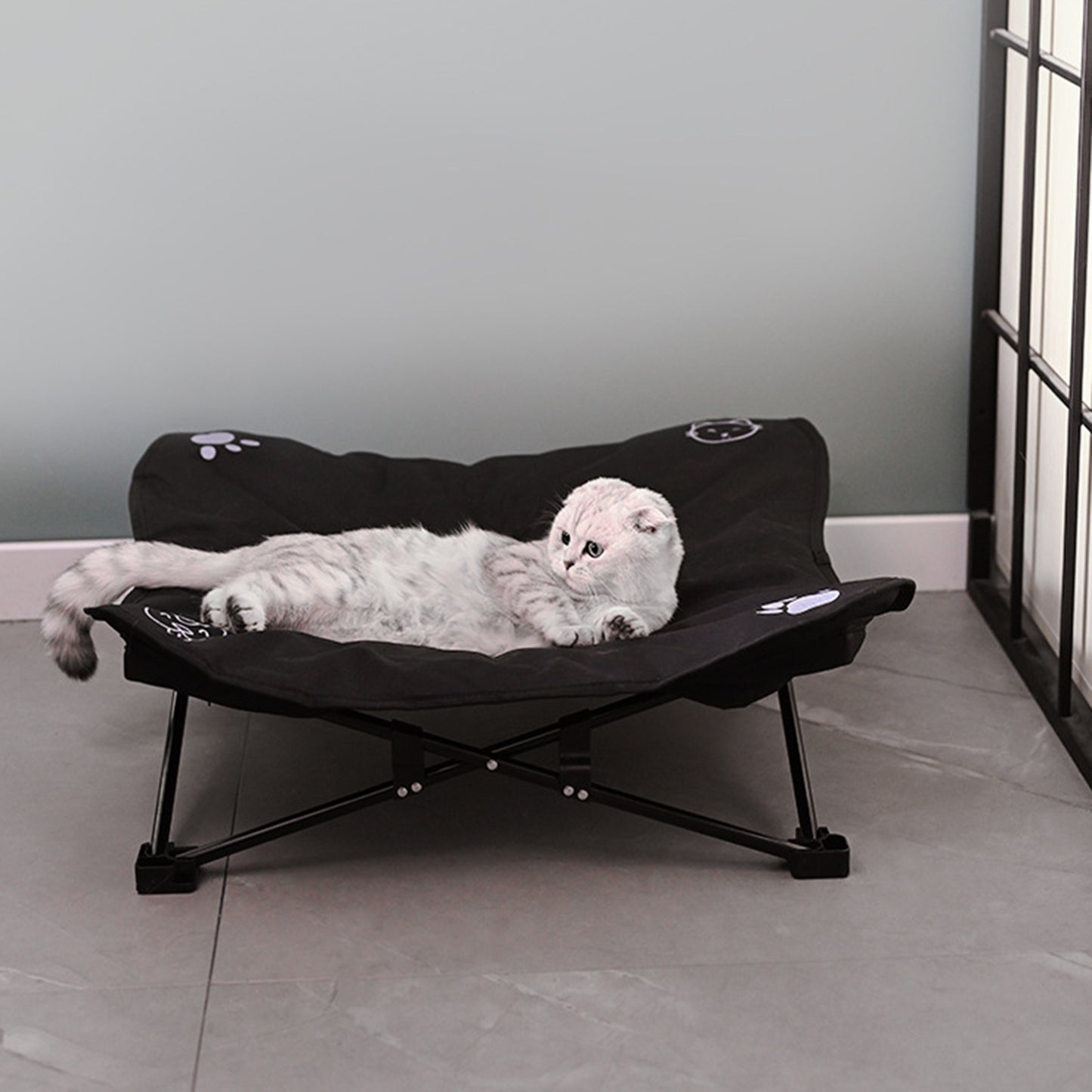Robustes, Faltbares Hunde-Reisebett (Outdoor & Abnehmbar)