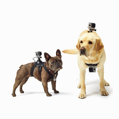 Hundegeschirr mit Action-Kamera-Halterung von FurLaati