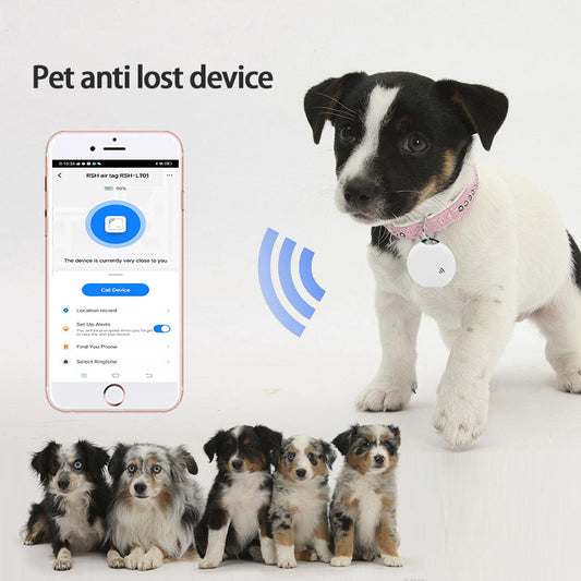 Smarter Bluetooth-Tracker | Verlustschutz für Haustiere