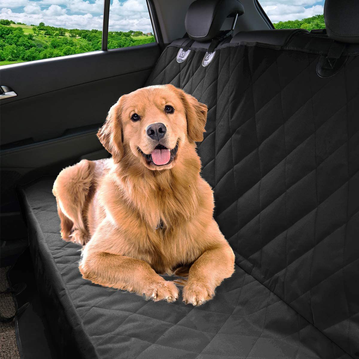 Dog sitting on a black car seat cover in a vehicle with a scenic background