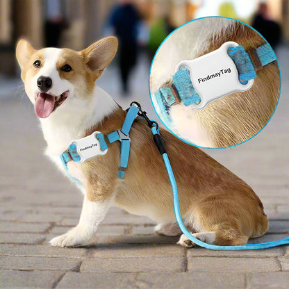 GPS-Locator "FindmayTag" | Präzise Echtzeitortung für Katzen & Hunde