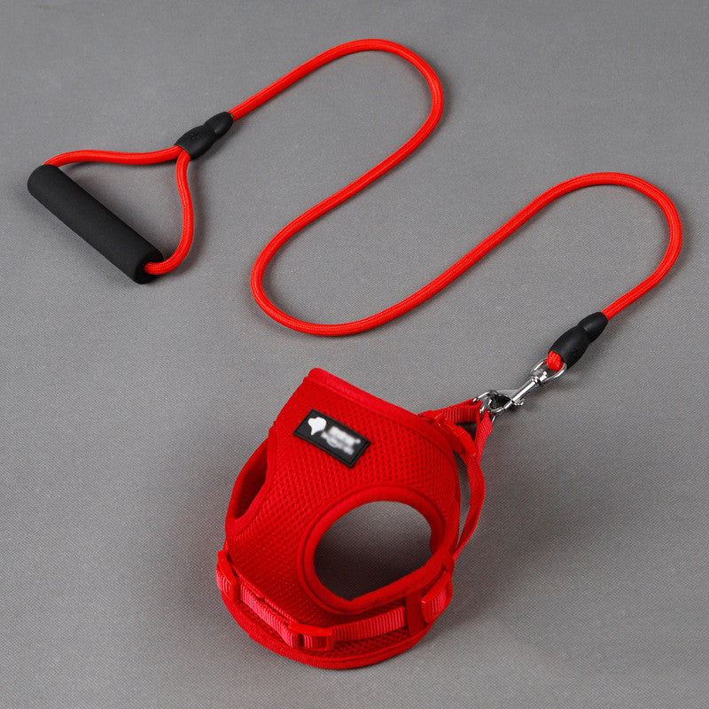 Hundegeschirr mit Leine | Atmungsaktives Mesh-Set für kleine Hunde