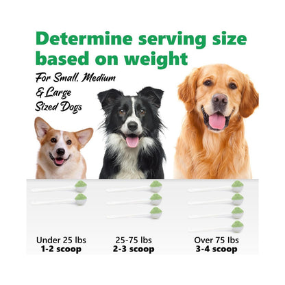 Premium-Pulver zur Unterstützung der Zahnreinigung Von FurLaati