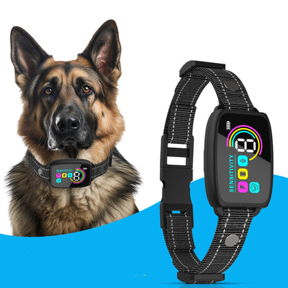 Dog wearing a smart collar with a digital display, next to a similar device on a blue background.