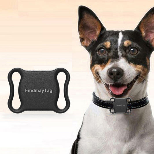 GPS-Locator "FindmayTag" | Präzise Echtzeitortung für Katzen & Hunde