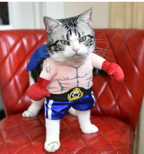 Witziges Boxer-Kostüm für Hunde und Katzen. Von FurLaati
