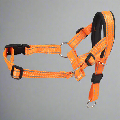Komfortabler Nylon-Maulkorb für Hunde. von FurLaati!