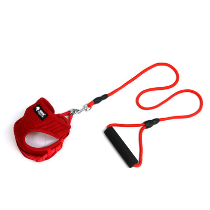 Hundegeschirr mit Leine | Atmungsaktives Mesh-Set für kleine Hunde