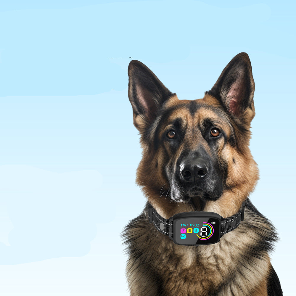 Dog wearing a smart collar with electronic modes on a blue background