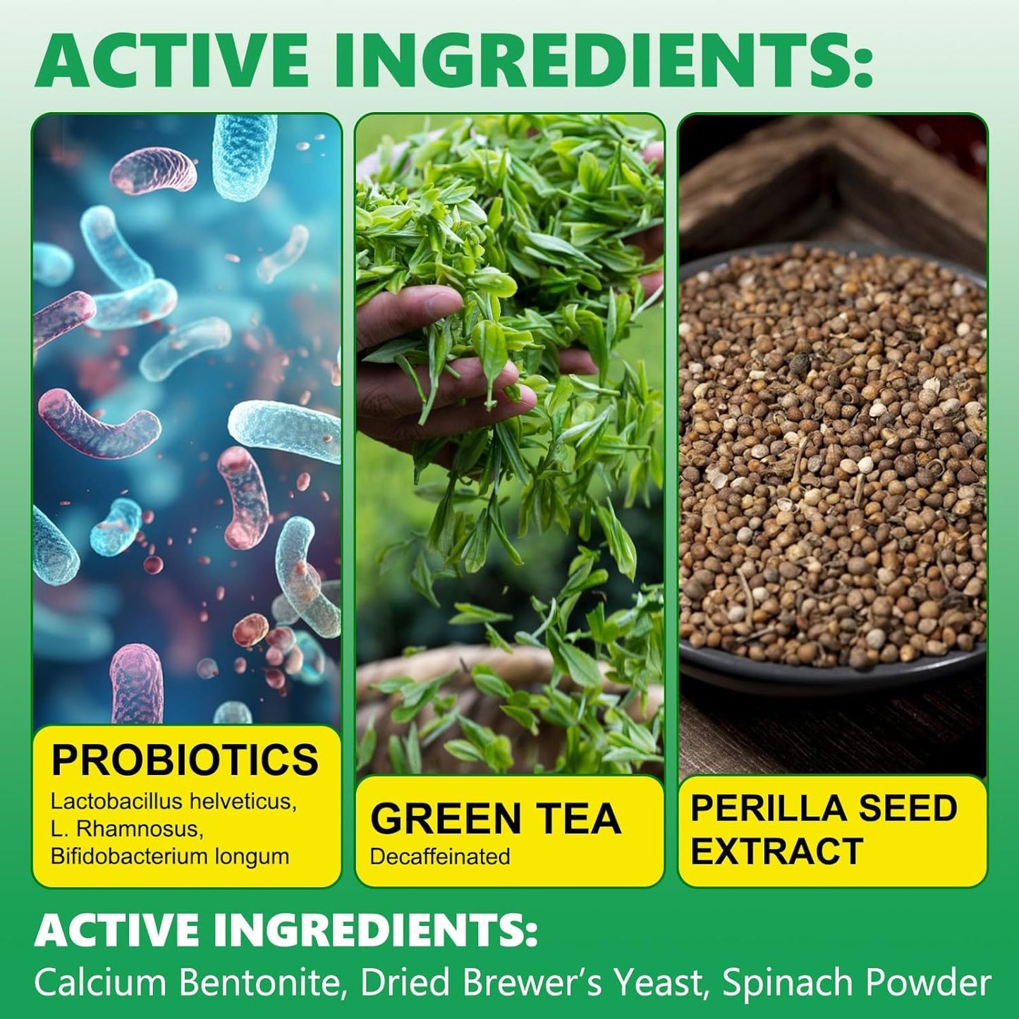 Premium-Pulver zur Unterstützung der Zahnreinigung Von FurLaati