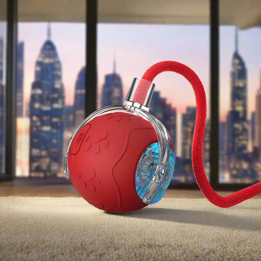 Automatischer interaktiver Spielball für Haustiere Von FurLaati