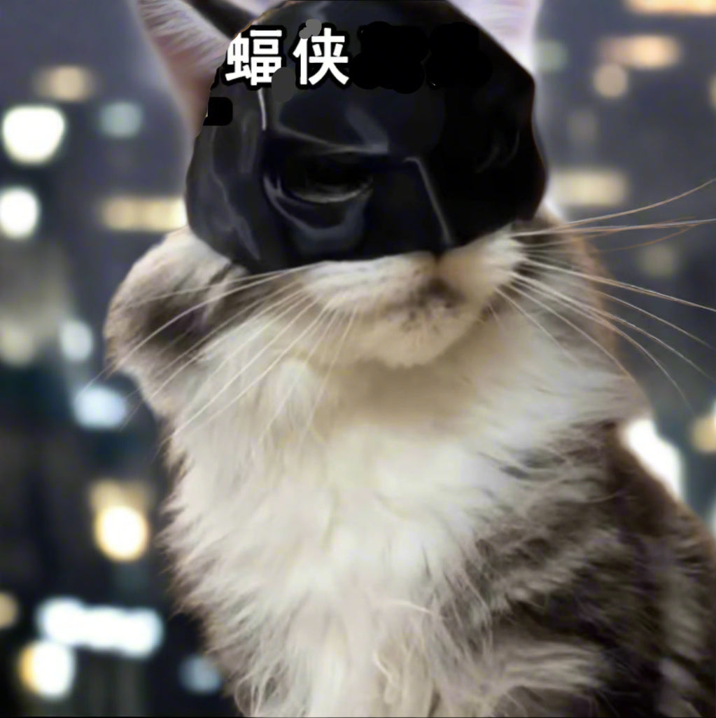 Batman-Katzenmaske mit Ohren- und Augenausschnitten von FurLaati