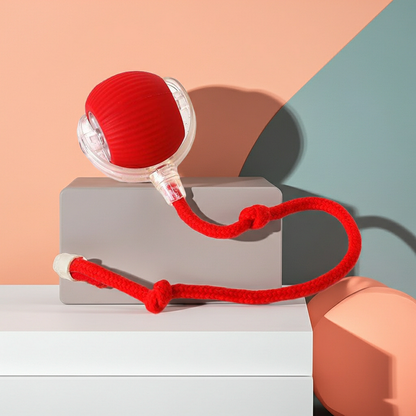 Intelligenter USB-Lade-Spielball mit Unvorhersehbarer Bewegung – BISSFEST! Von FurLaati