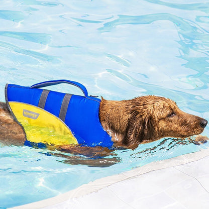 Schwimmweste für Hunde mit niedlichem Design. Von FurLaati!