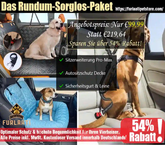 Pet safety products package with dogs in a car, including a seat cover, harness, and leash.